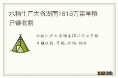 水稻生产大省湖南1816万亩早稻开镰收割