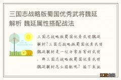 三国志战略版蜀国优秀武将魏延解析 魏延属性搭配战法