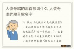 大傻哥唱的那首歌叫什么 大傻哥唱的那首歌名字