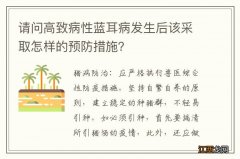 请问高致病性蓝耳病发生后该采取怎样的预防措施？