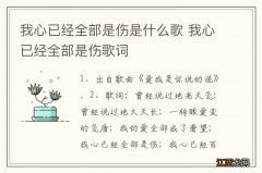 我心已经全部是伤是什么歌 我心已经全部是伤歌词