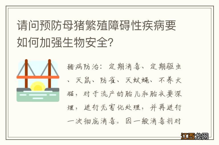 请问预防母猪繁殖障碍性疾病要如何加强生物安全？