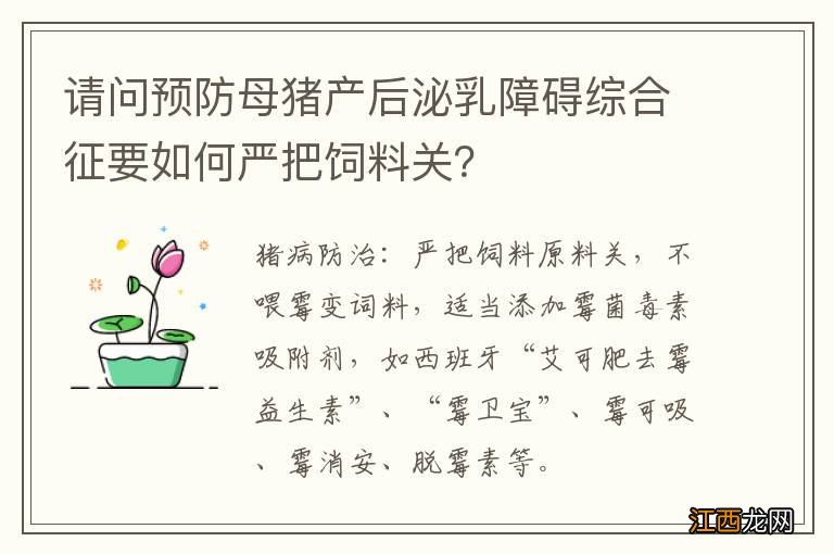 请问预防母猪产后泌乳障碍综合征要如何严把饲料关?