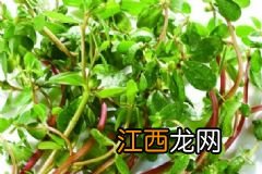 兰蔻粉水适合多大年龄？兰蔻粉水好用吗？