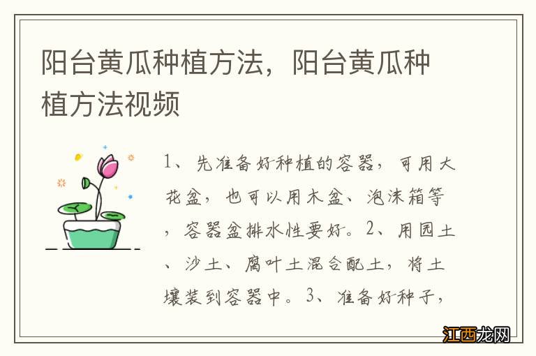 阳台黄瓜种植方法，阳台黄瓜种植方法视频