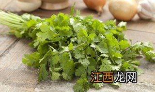 香菜的阳台种植方法和时间 香菜的阳台种植方法