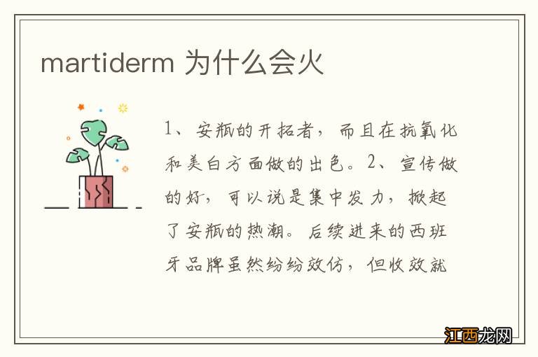 martiderm 为什么会火