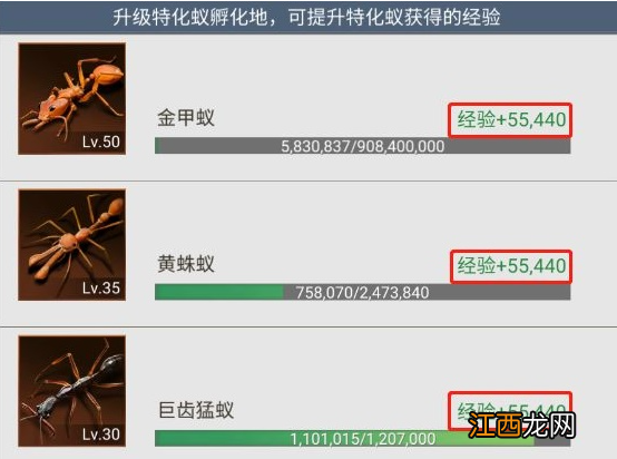 小小蚁国特化蚁等级升级 特化蚁等级提升有什么用