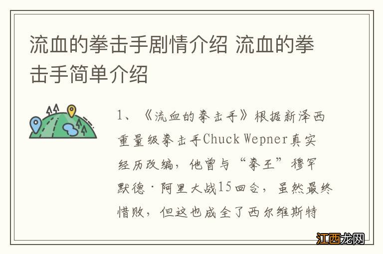 流血的拳击手剧情介绍 流血的拳击手简单介绍