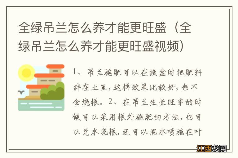 全绿吊兰怎么养才能更旺盛视频 全绿吊兰怎么养才能更旺盛