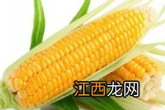 乌龟和王八有什么区别？乌龟和王八的区别