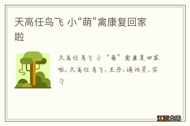 天高任鸟飞 小“萌”禽康复回家啦