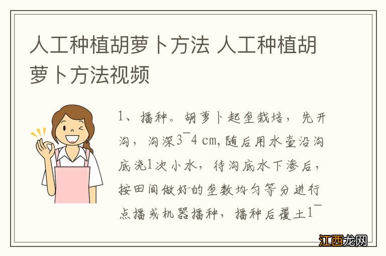 人工种植胡萝卜方法 人工种植胡萝卜方法视频