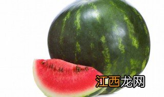 冰糖西瓜大棚种植方法 冰糖西瓜大棚种植方法视频