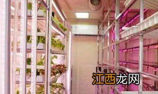 人工水培牧草种植方法 人工水培牧草种植方法视频