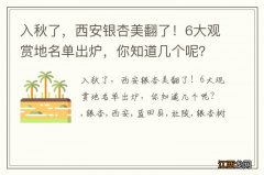 入秋了，西安银杏美翻了！6大观赏地名单出炉，你知道几个呢？