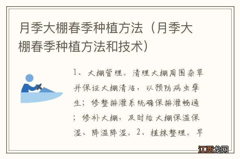 月季大棚春季种植方法和技术 月季大棚春季种植方法