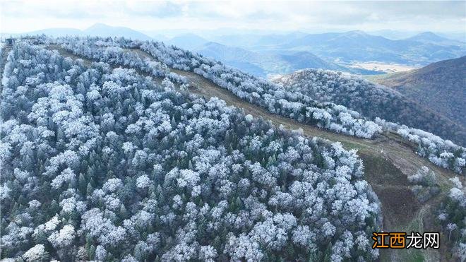 快看！吉林市北大湖今秋首场高山雾凇美不胜收！你看过吗？