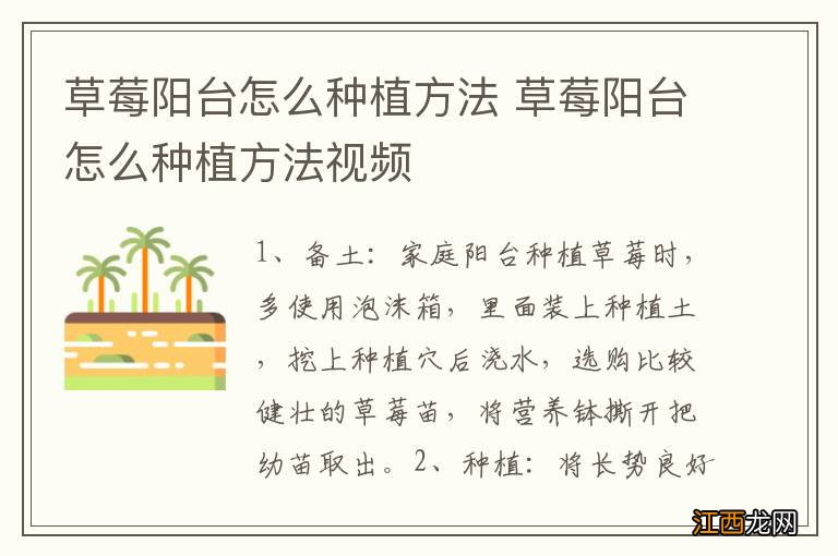 草莓阳台怎么种植方法 草莓阳台怎么种植方法视频