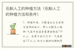 石斛人工的种植方法和条件 石斛人工的种植方法