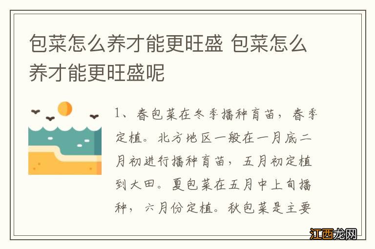 包菜怎么养才能更旺盛 包菜怎么养才能更旺盛呢