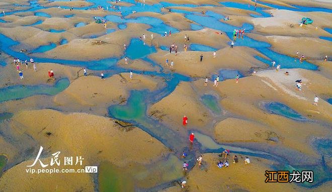 湖北武汉：天兴洲沙滩迎客来