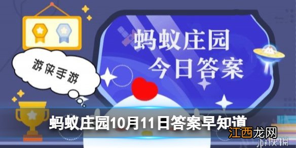 蚂蚁庄园今日答案导盲犬 路上遇到导盲犬可以投喂食物和抚摸吗10.11