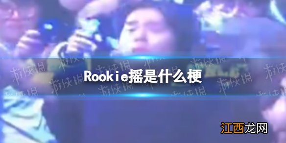 Rookie摇是什么梗 Rookie摇是什么意思