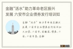 金融“活水”助力革命老区振兴发展 六安市企业债券发行培训如火如荼