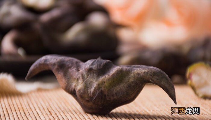 菱角为什么种在池塘里呢 菱角为什么种在池塘里