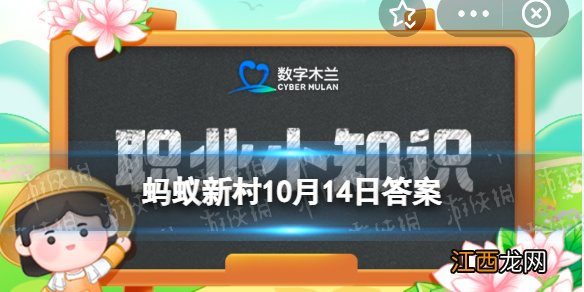 数字木兰职业小知识今日答案10.14 梨园子弟蚂蚁新村10.14答案