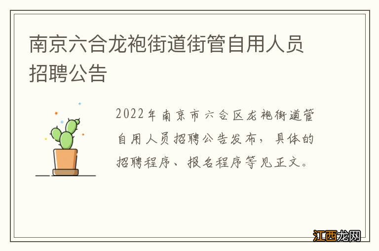 南京六合龙袍街道街管自用人员招聘公告