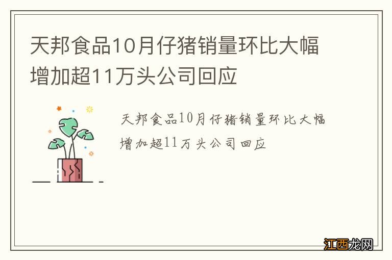 天邦食品10月仔猪销量环比大幅增加超11万头公司回应