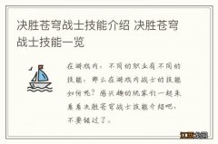 决胜苍穹战士技能介绍 决胜苍穹战士技能一览