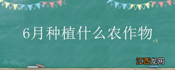 6月种植什么农作物张掖 6月种植什么农作物