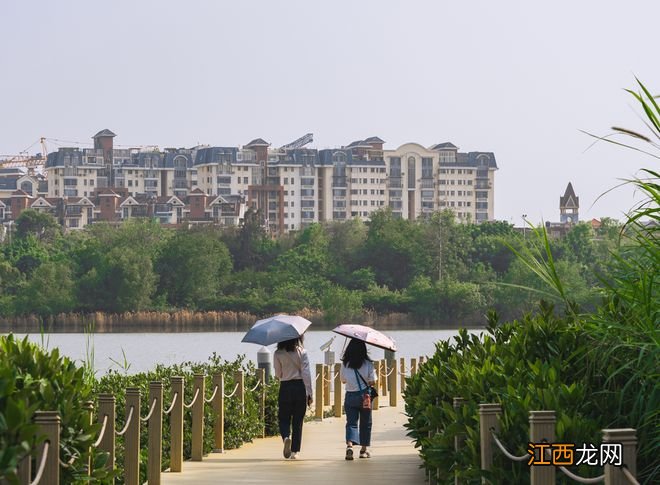 深圳等大城市年轻人,决定“拼多多”式买房