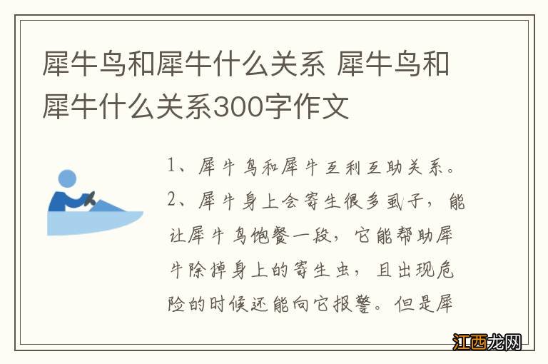 犀牛鸟和犀牛什么关系 犀牛鸟和犀牛什么关系300字作文