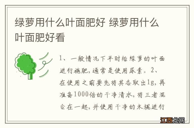 绿萝用什么叶面肥好 绿萝用什么叶面肥好看