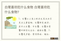 白鹭喜欢吃什么食物 白鹭喜欢吃什么食物?