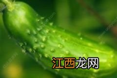 精油种类有哪些？不同精油功效有哪些？