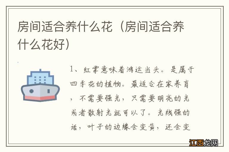 房间适合养什么花好 房间适合养什么花