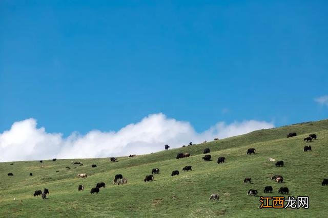 被孤独星球评为亚洲最佳旅行地Top1，比新疆绚丽，比西藏神圣