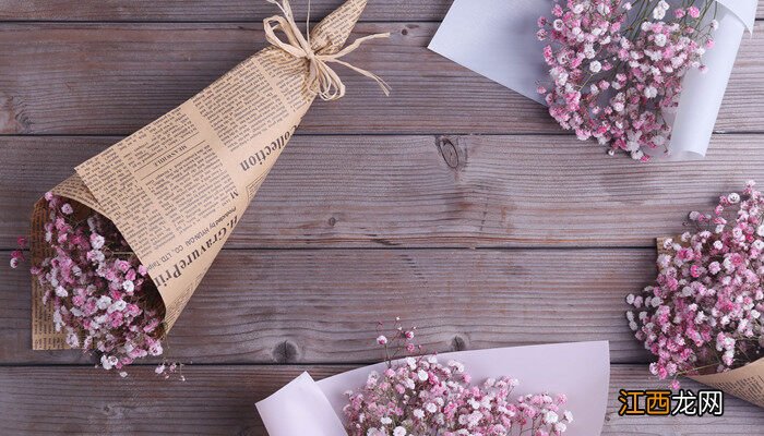 买了一束满天星怎么养放多少水 买了一束满天星怎么养