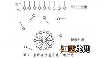 什么是s类表面活性剂?