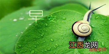 周一早安问候客户的句子?