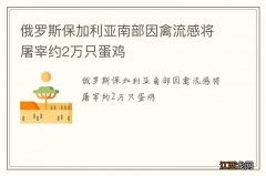 俄罗斯保加利亚南部因禽流感将屠宰约2万只蛋鸡