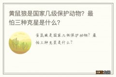 黄鼠狼是国家几级保护动物？最怕三种克星是什么？