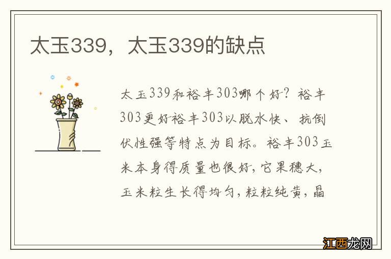 太玉339，太玉339的缺点