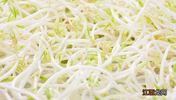 小学生一次杯子种绿豆的方法 绿豆芽怎么种植方法