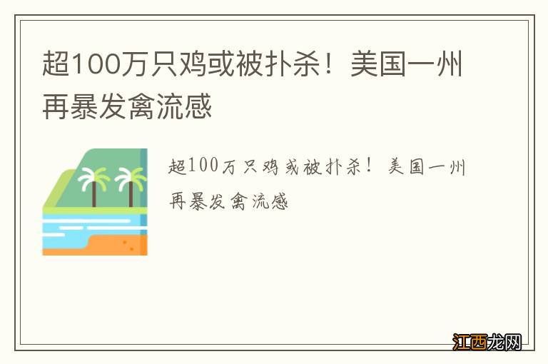 超100万只鸡或被扑杀！美国一州再暴发禽流感